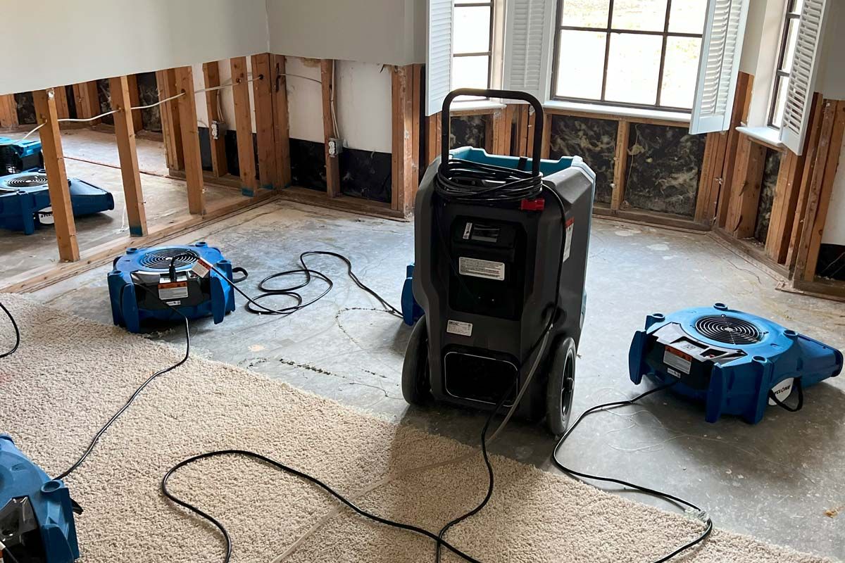 Dehumidifiers and air movers drying a room