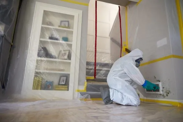 Technician performing mold remediation