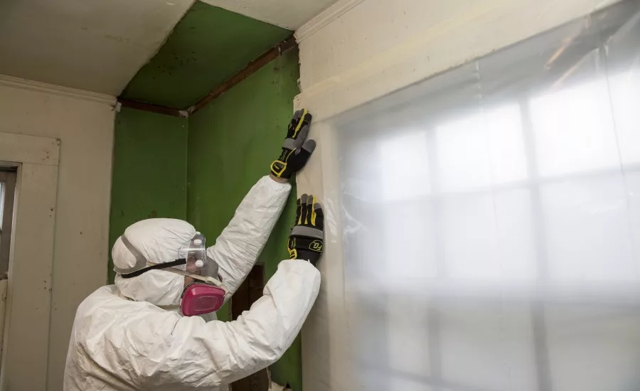 Containment barriers during mold remediation